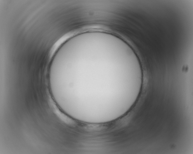 X0000110721474200906121234