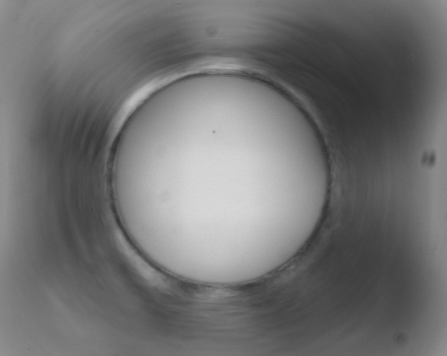 X0000110721475200906121234