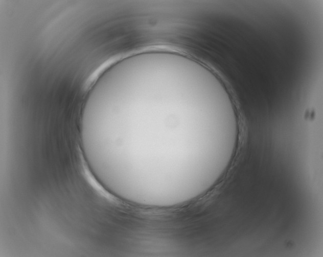 X0000110721476200906121234
