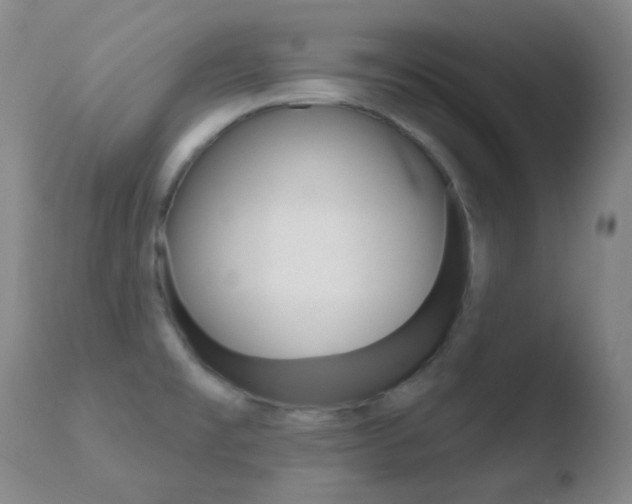 X0000110721477200906121234