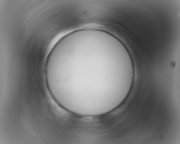 X0000110721478200906121234