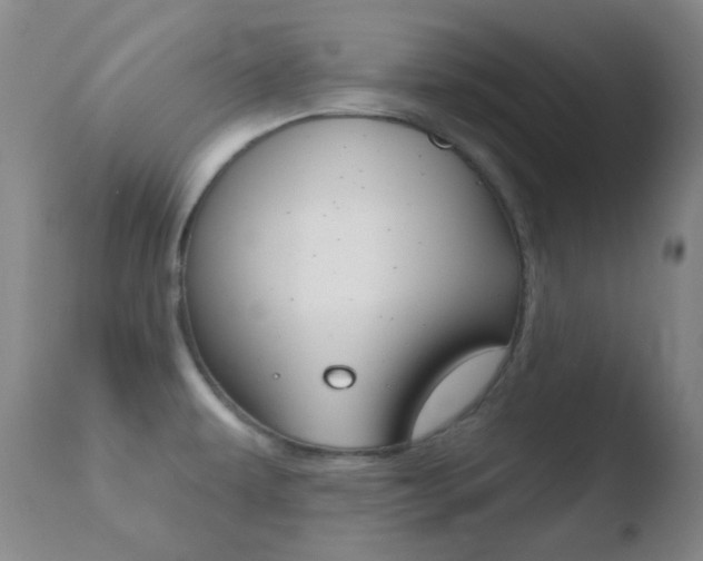 X0000110721479200906121234