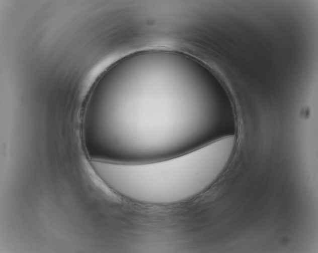 X0000110721480200906121234