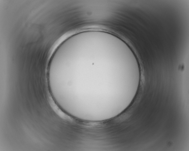 X0000110721482200906121234