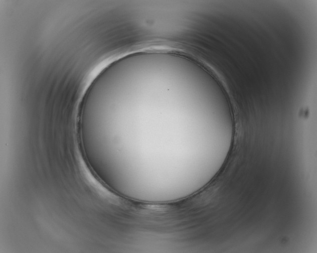 X0000110721483200906121234