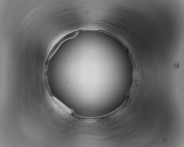 X0000110721484200906121234