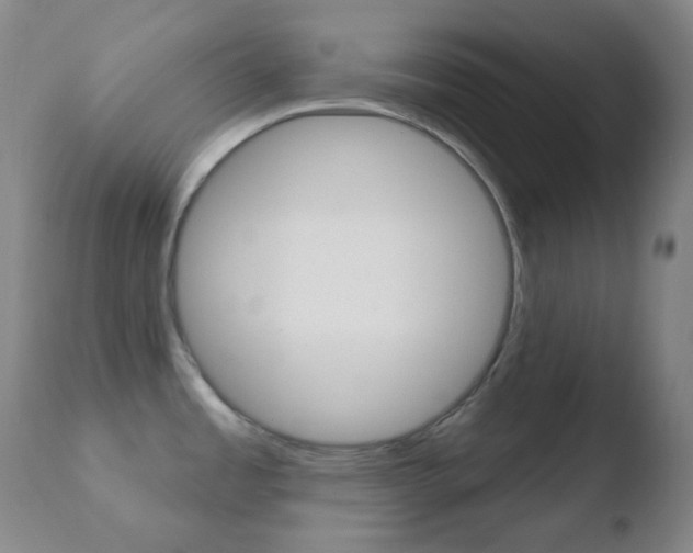 X0000110721485200906121234