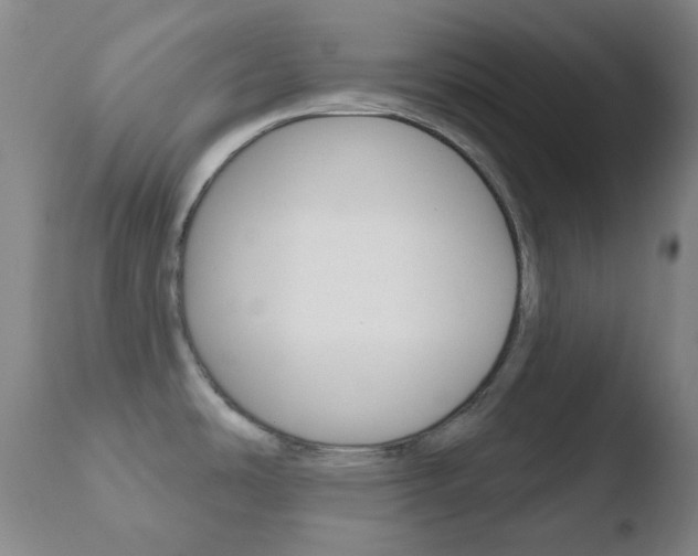 X0000110721486200906121234