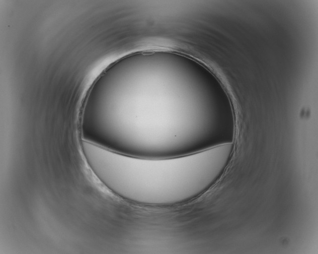 X0000110721488200906121234