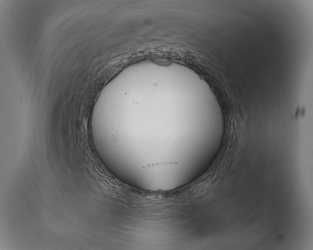 X0000110721489200906121233