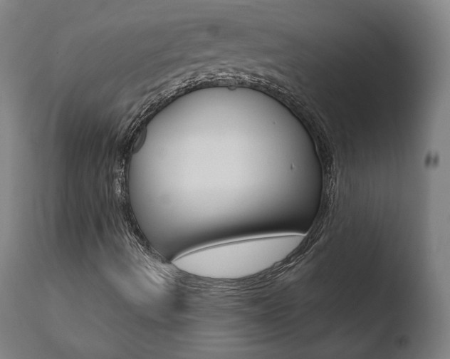 X0000110721490200906121233