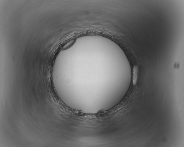 X0000110721491200906121233