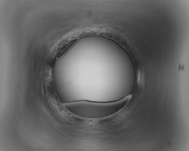 X0000110721492200906121233
