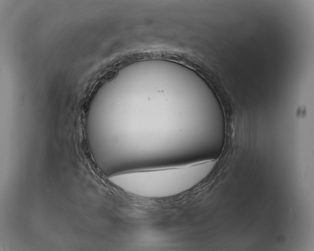X0000110721493200906121233