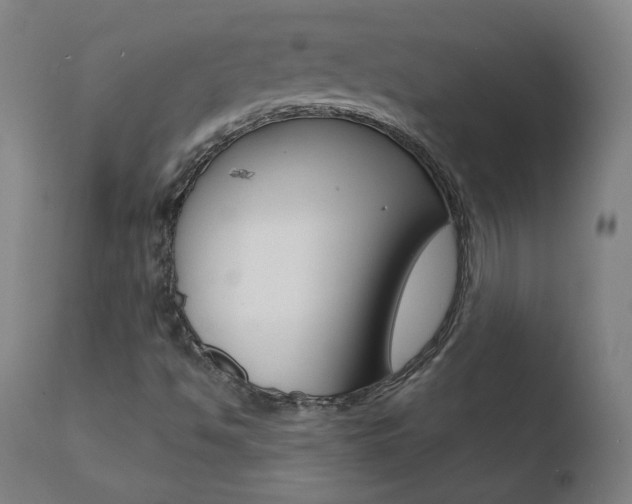 X0000110721494200906121233