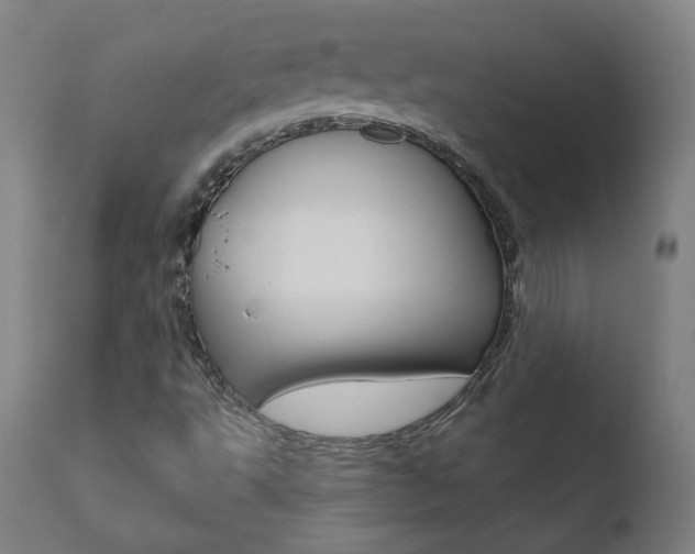 X0000110721495200906121233