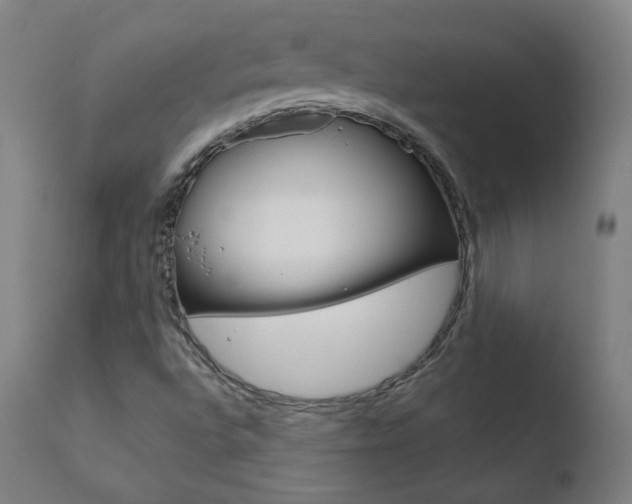 X0000110721496200906121233