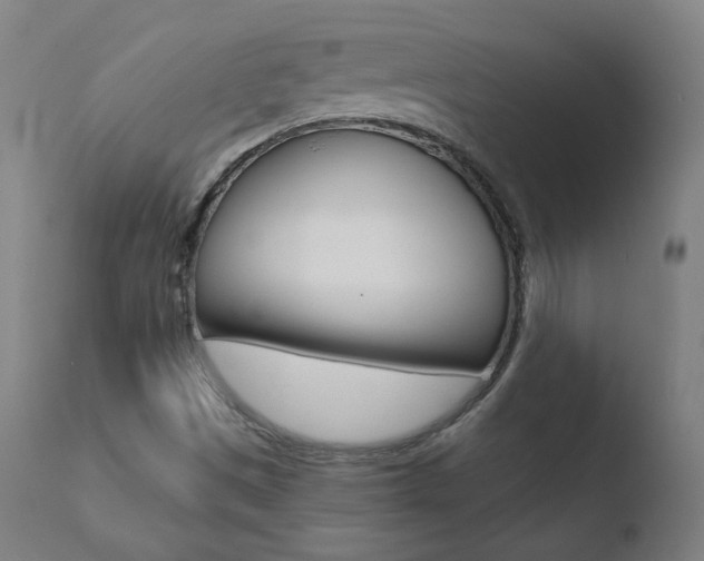 X0000110721497200906121233