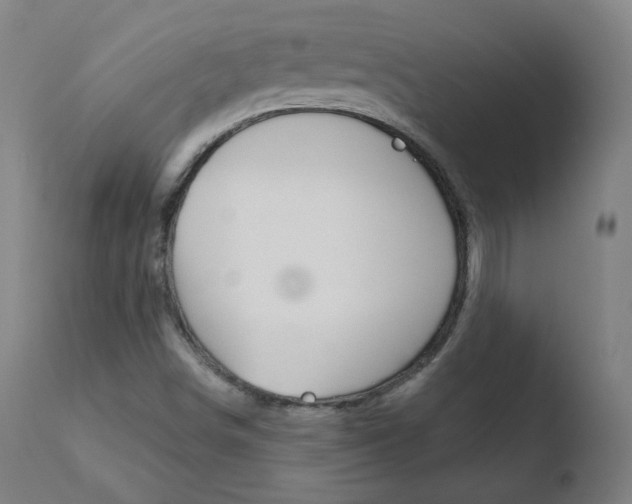 X0000110721498200906121233