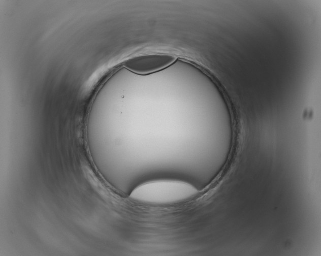 X0000110721499200906121233