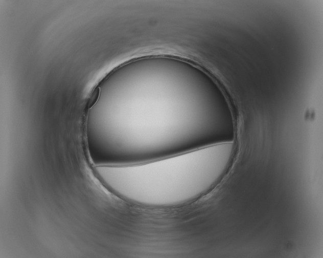 X0000110721500200906121233