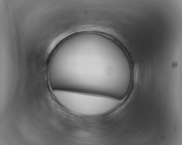 X0000110721501200906121233