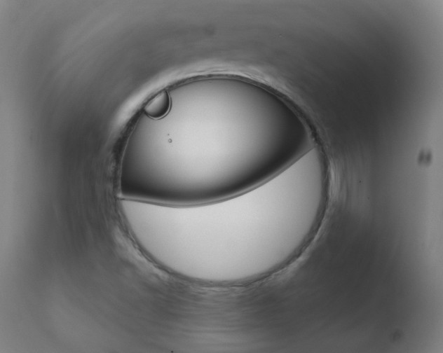 X0000110721502200906121233