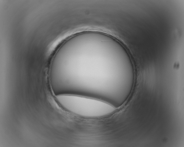 X0000110721503200906121233