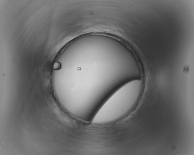 X0000110721505200906121233