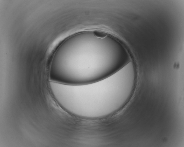 X0000110721506200906121233