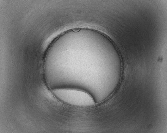 X0000110721507200906121233