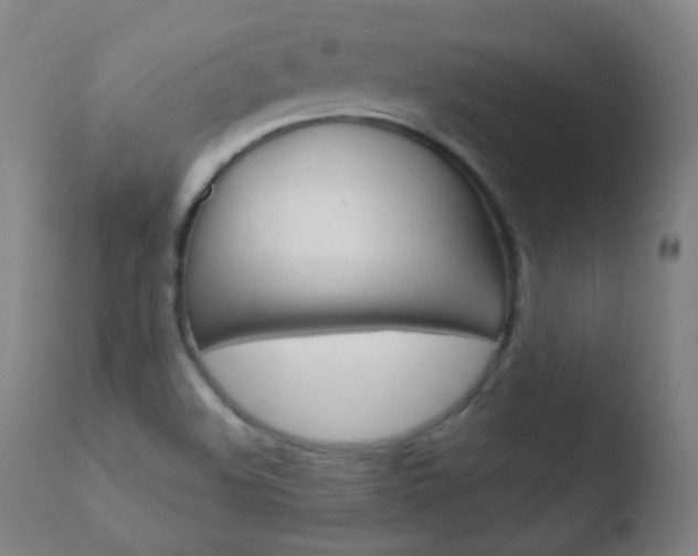 X0000110721508200906121233