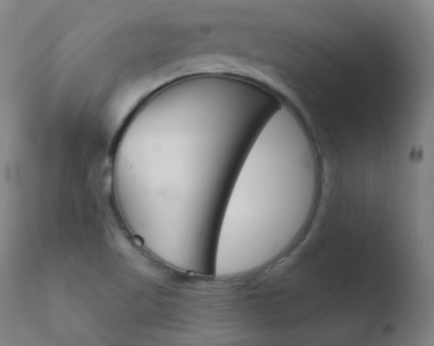 X0000110721509200906121233