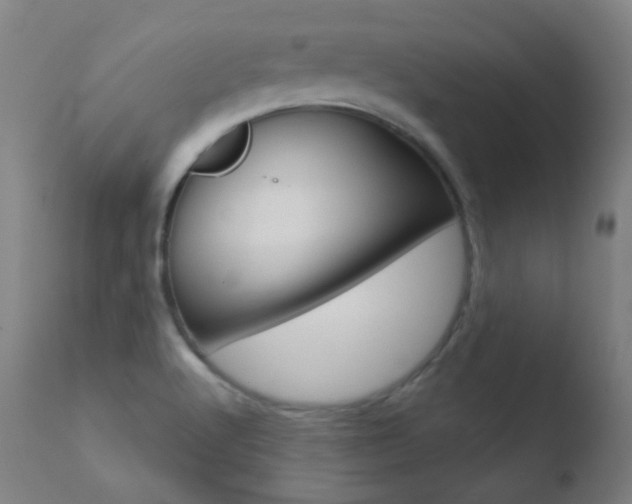 X0000110721512200906121233