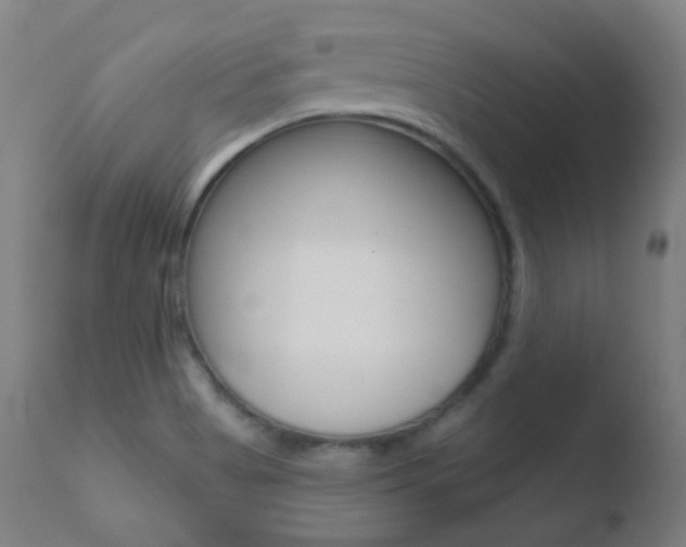 X0000110721513200906121233