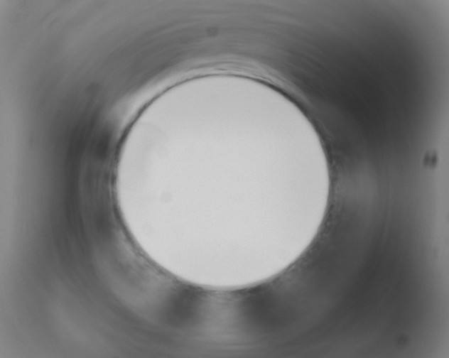 X0000110721514200906121233