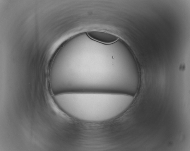 X0000110721515200906121233