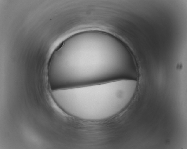 X0000110721516200906121233