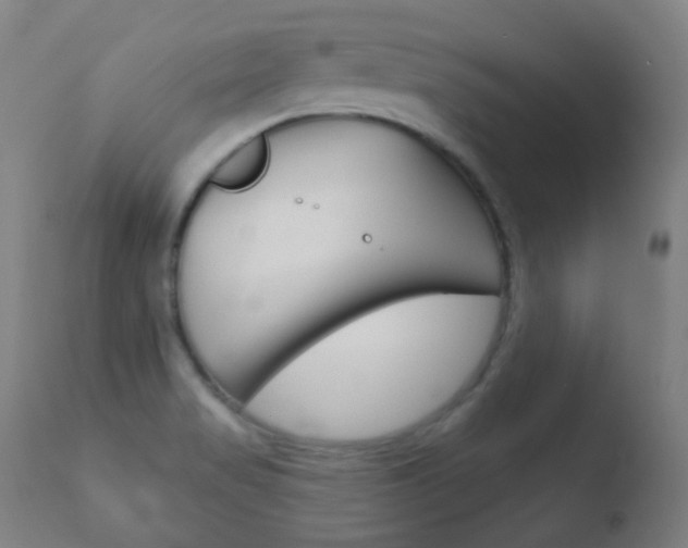 X0000110721517200906121233