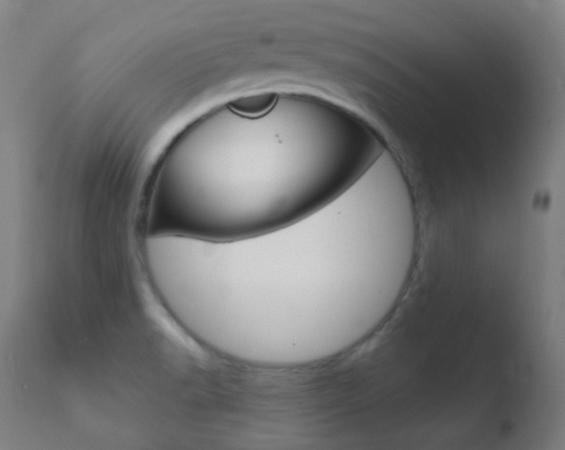 X0000110721518200906121233