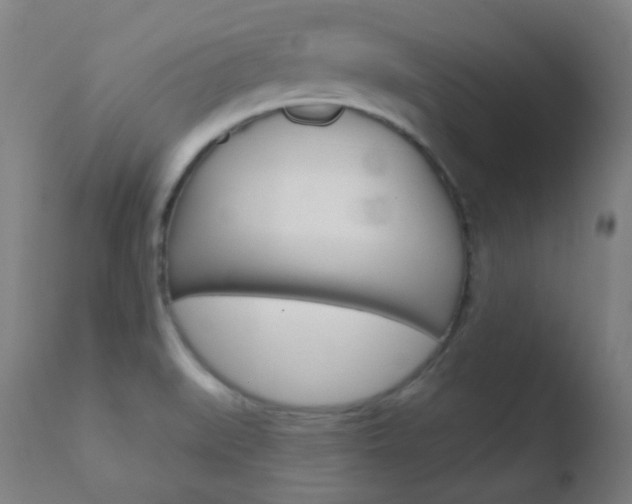 X0000110721519200906121233