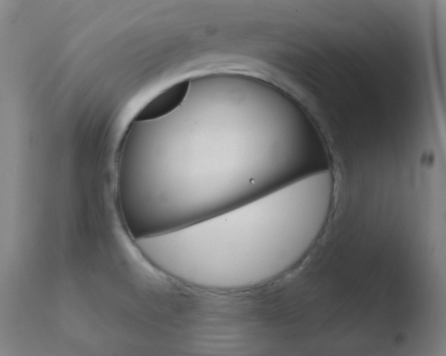 X0000110721520200906121233