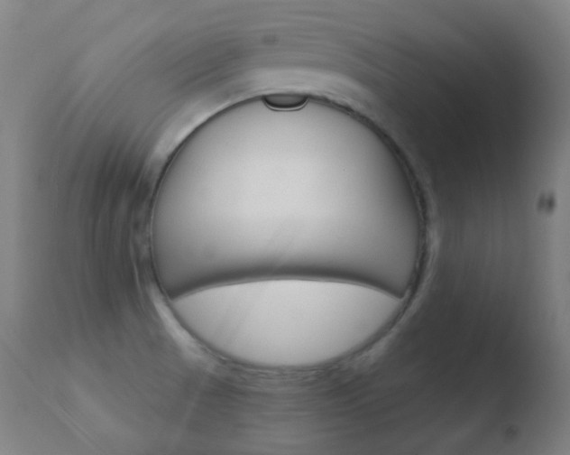 X0000110721521200906121234
