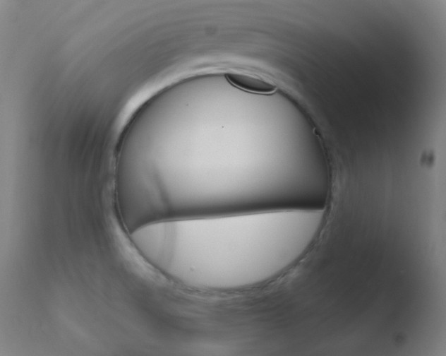 X0000110721522200906121234