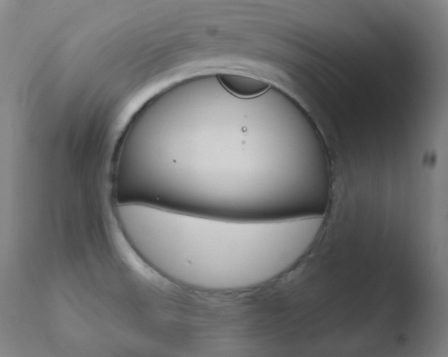 X0000110721523200906121234