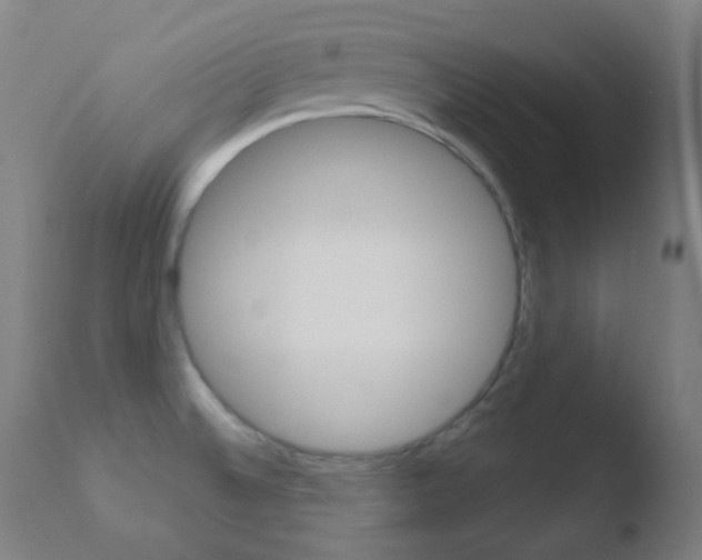 X0000110721524200906121234