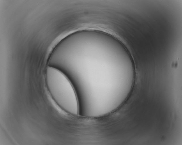X0000110721525200906121234