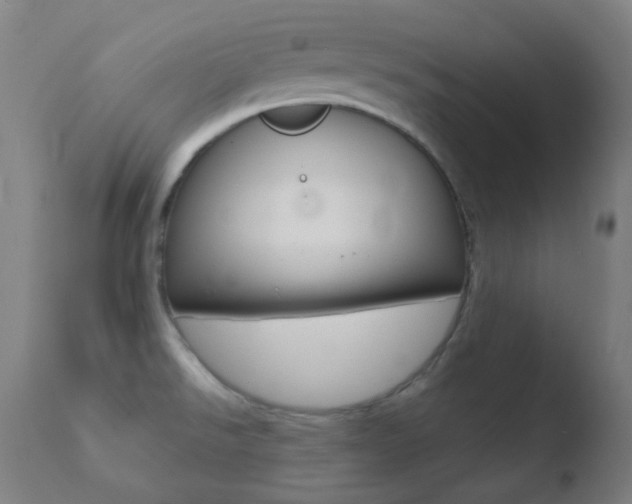 X0000110721526200906121234