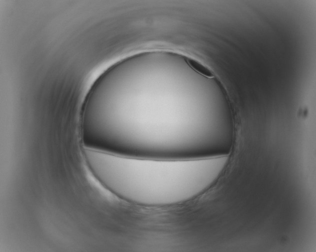 X0000110721527200906121234