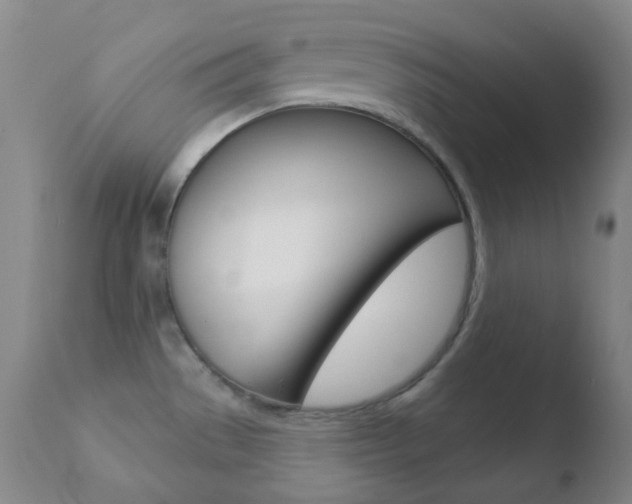 X0000110721529200906121234